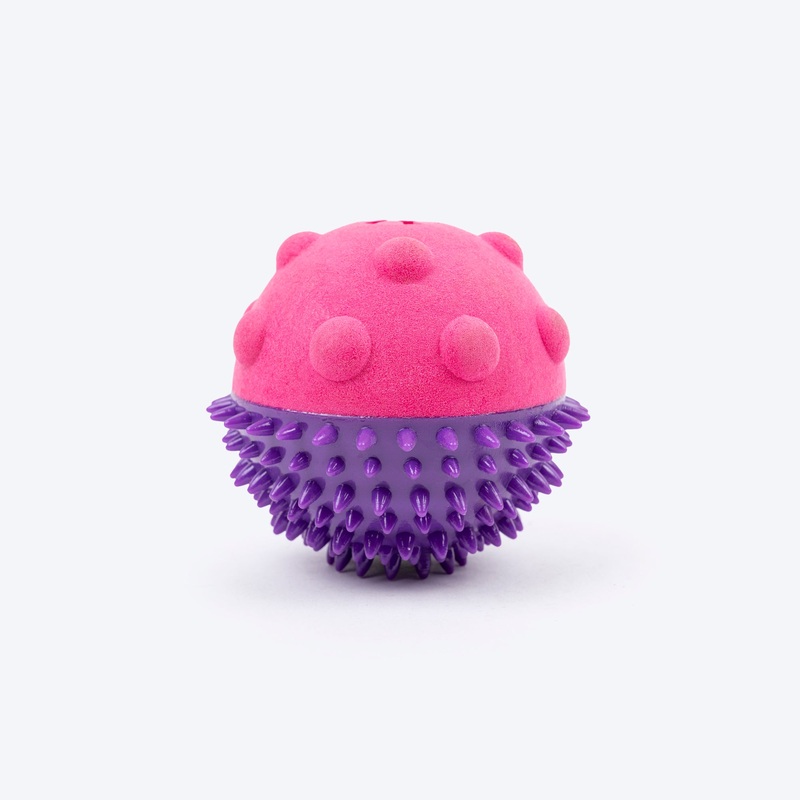 Dash Dog Spikey Snacker Chew Toy For Dog – Purple & Pink