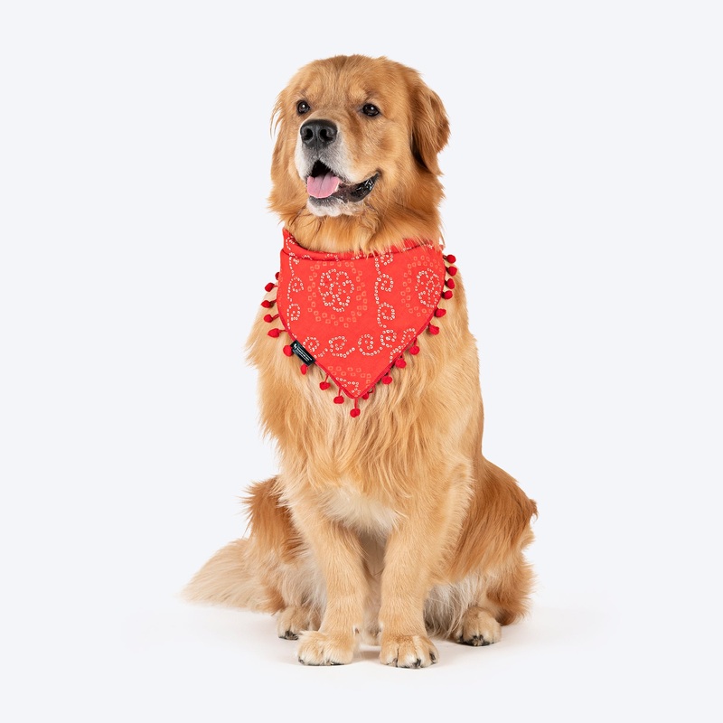 HUFT Bandhani Breeze Knot Bandana For Dog – Red