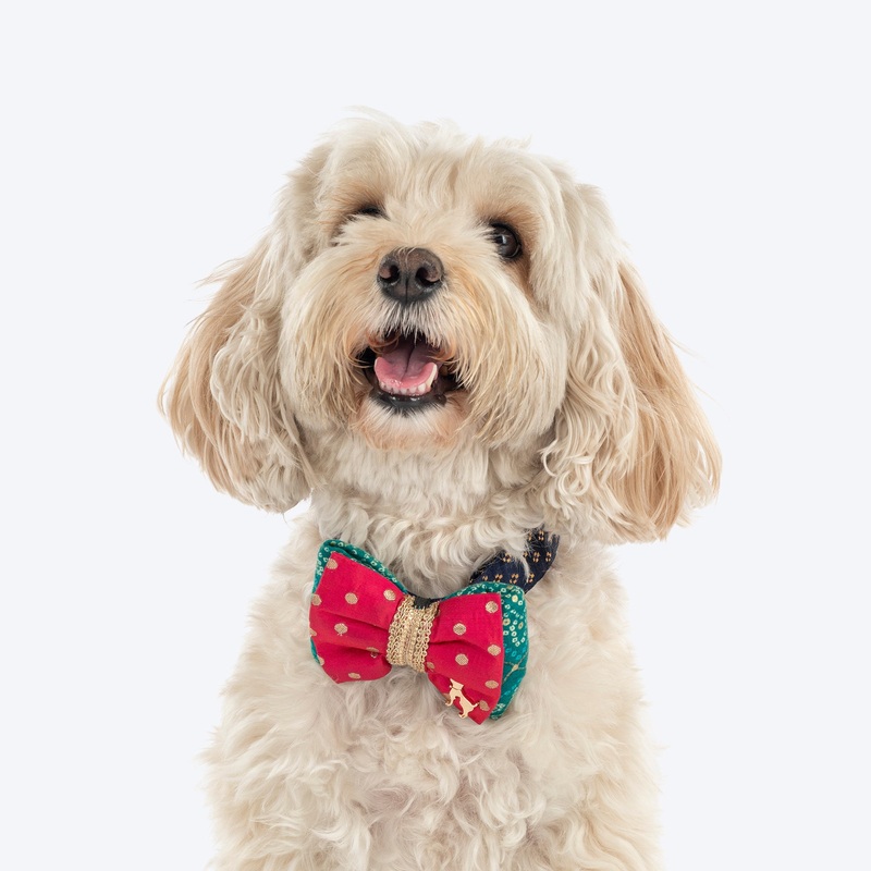 HUFT Desi Glam Bow Tie For Dog – Pink & Green