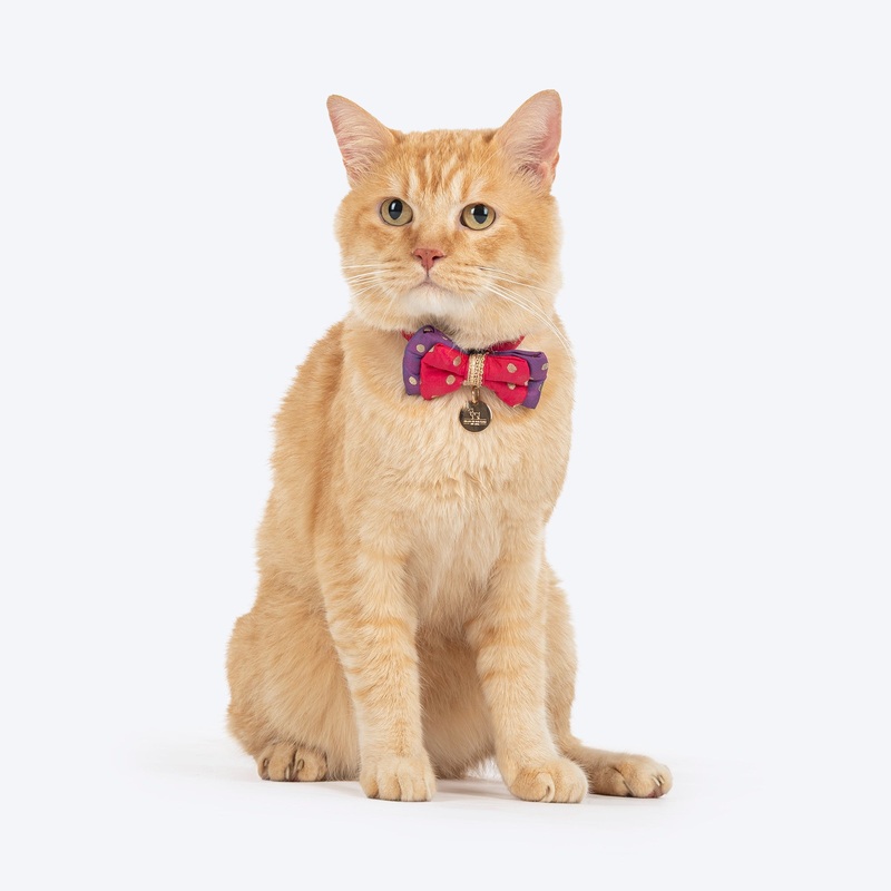 HUFT Desi Glam Bow Tie With Strap For Cat – Pink & Purple