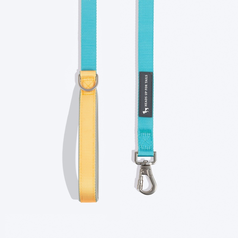 HUFT Dichromatic Leash For Dog – Turquoise & Yellow