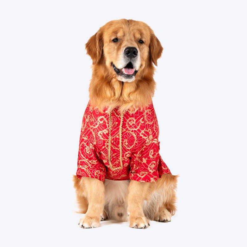 HUFT Festive Bliss Kurta For Dog – Red