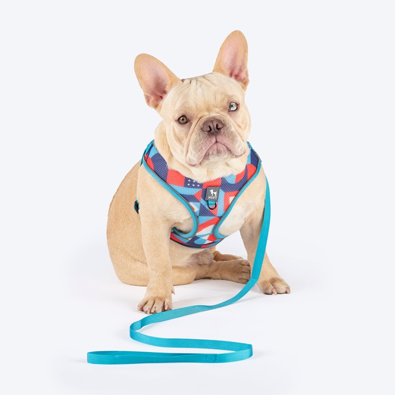 HUFT Free Flow Step-In Harness & Leash Set For Dog – Geomatrix Blue