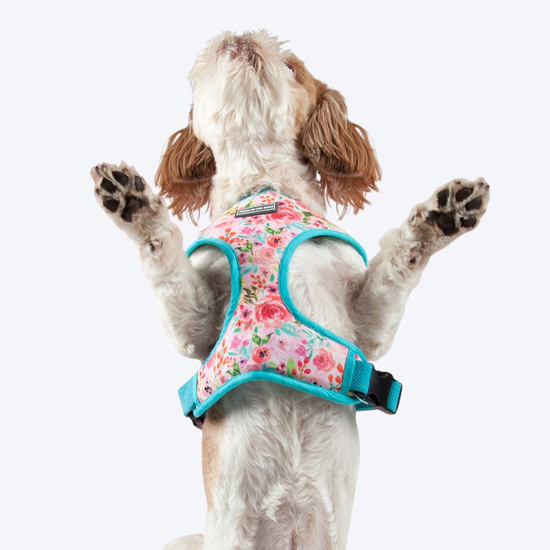 HUFT Fresh Blooms Reversible Dog Harness