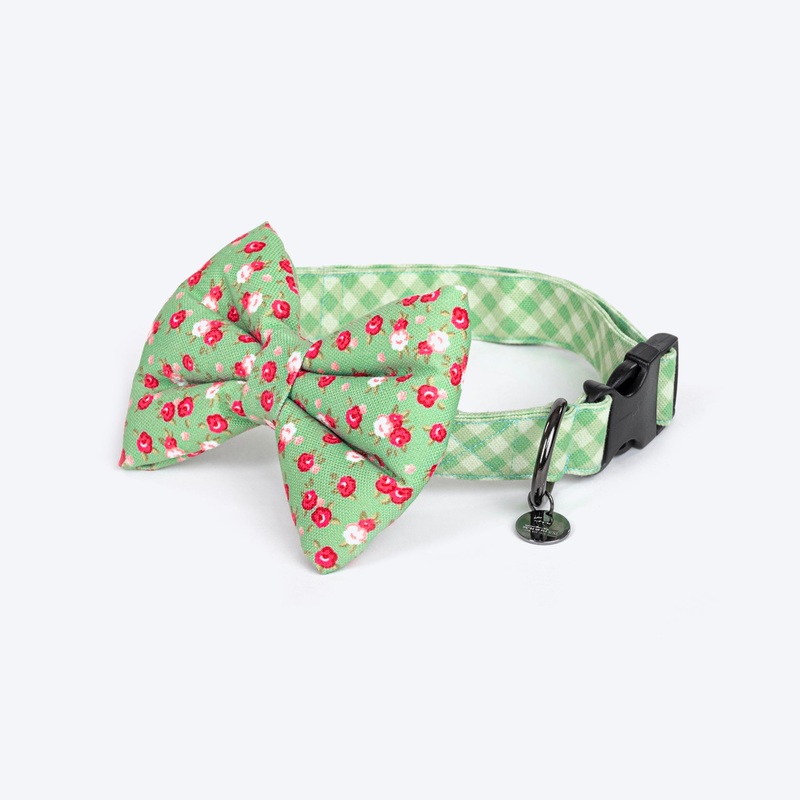 HUFT Pastel Petals Collar For Dogs With Free Bow Tie – Green