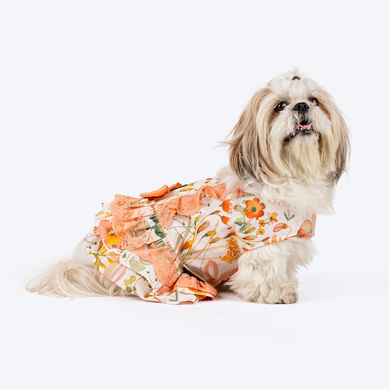 HUFT Printed Floral Cotton Dress For Dog – Multicolor
