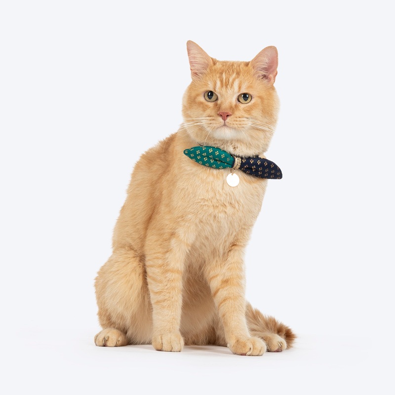 HUFT Shahi Paws Bow Tie With Strap For Cat – Blue & Green