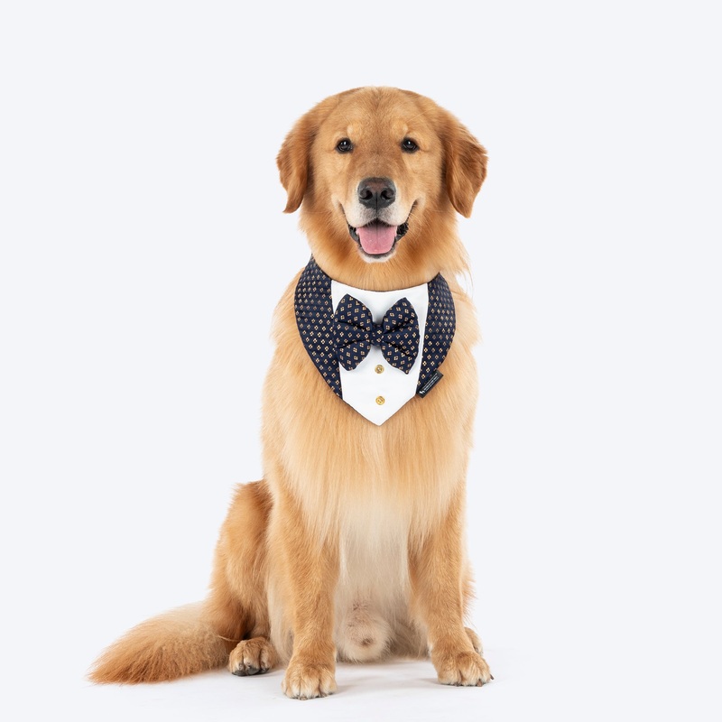 HUFT Shahi Paws Tuxedo Bandana For Dog – Blue