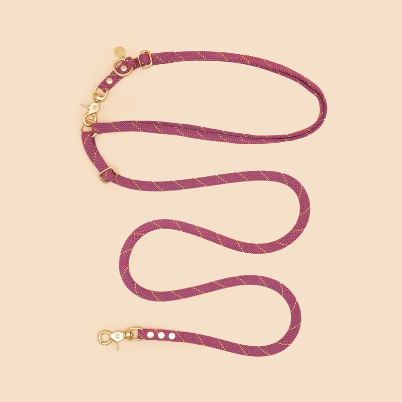 Cooper Hands Free Leash – Pink