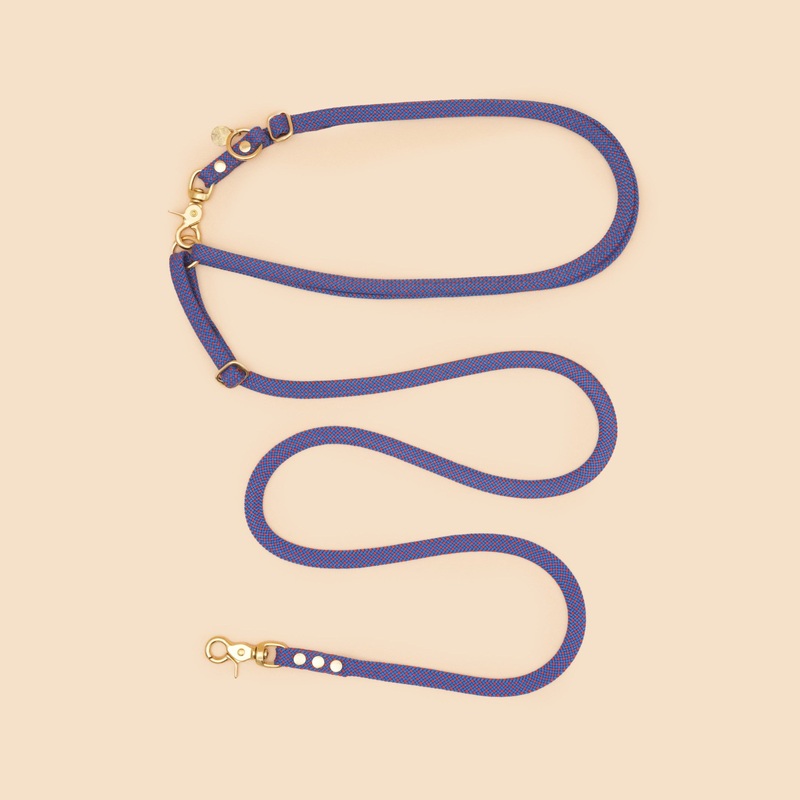 Cooper Hands Free Leash – Purple