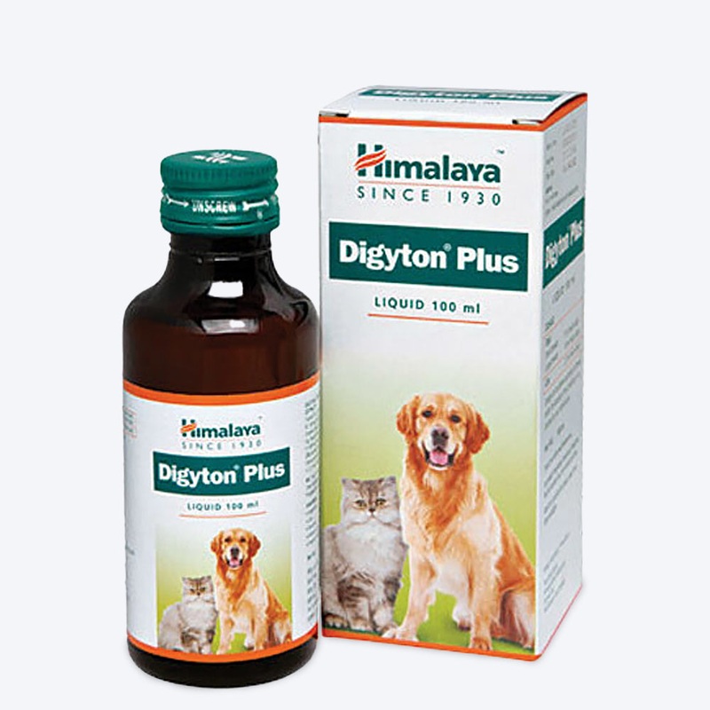 Himalaya Digyton Plus Herbal Digestive Syrup For Dog & Cat – 100 ml