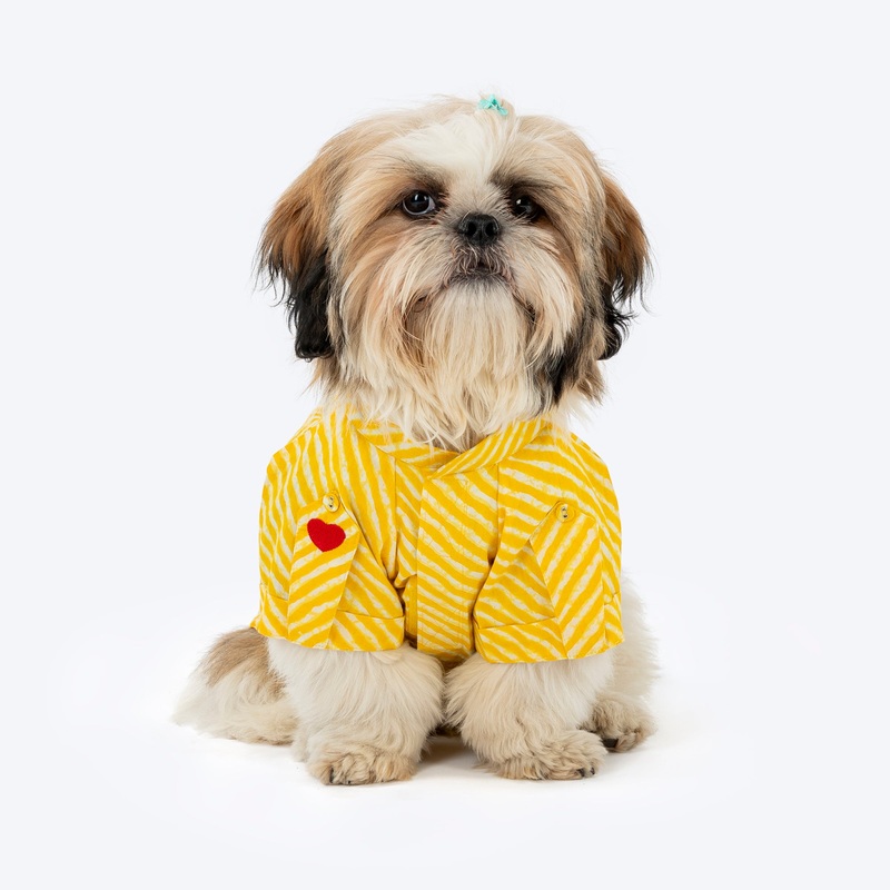 HUFT Pawdhani Leheriya Kurta For Dog – Yellow