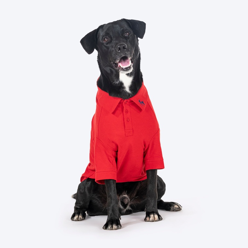 HUFT Paws Polo T-Shirt For Dog – Red