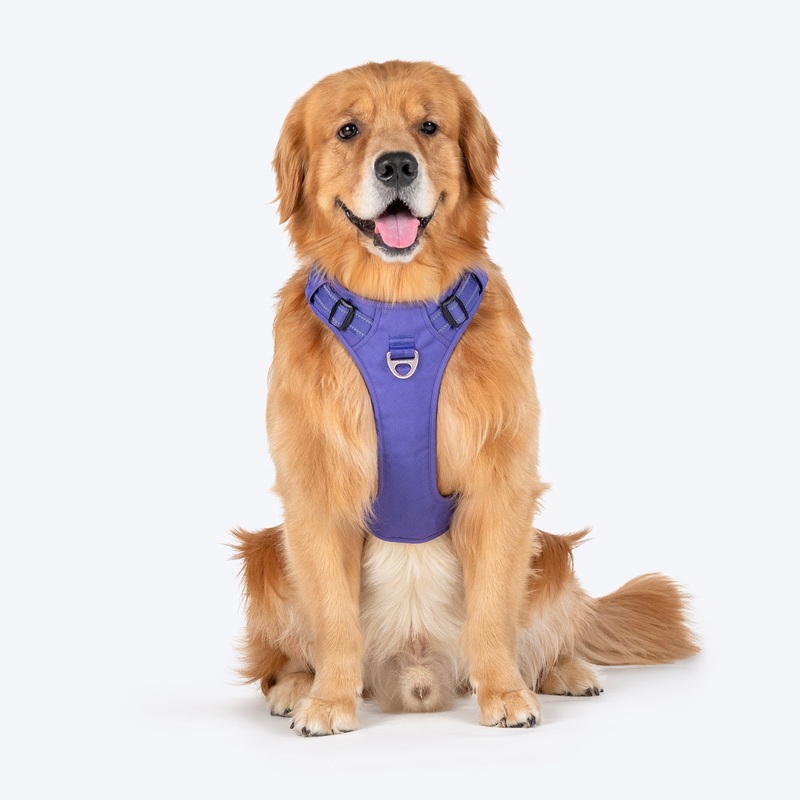 HUFT Xplorers Harness For Dog – Purple