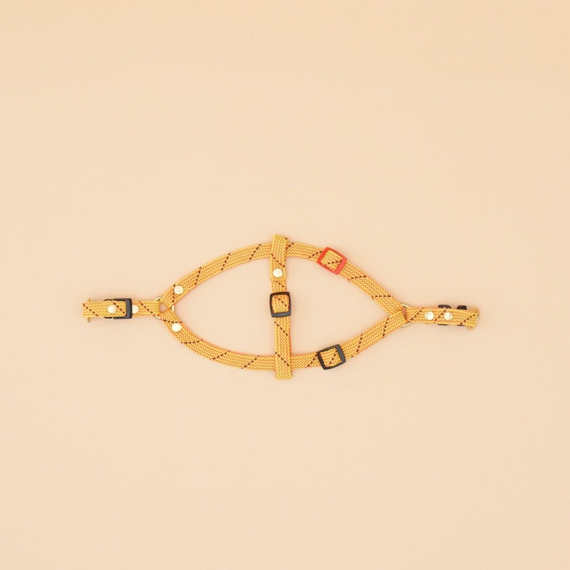 Marley Flat Rope Harness – Turbo Yellow