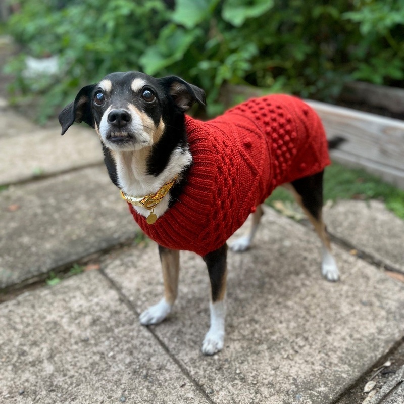 Parker Turtleneck Cable Sweater – Burnt Orange