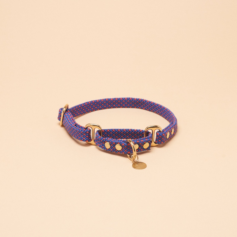 Remy Martingale Collar – Purple