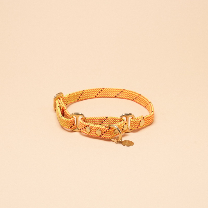 Remy Martingale Collar – Turbo Yellow