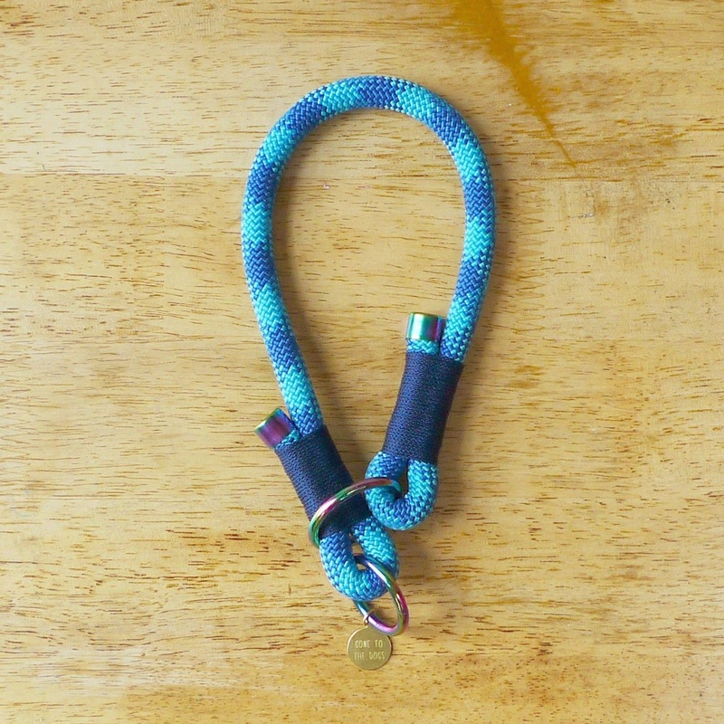 Rex Slip Collar – Aqua|Aqua|18 inch|24 inch|16 inch|14 inch|20 inch