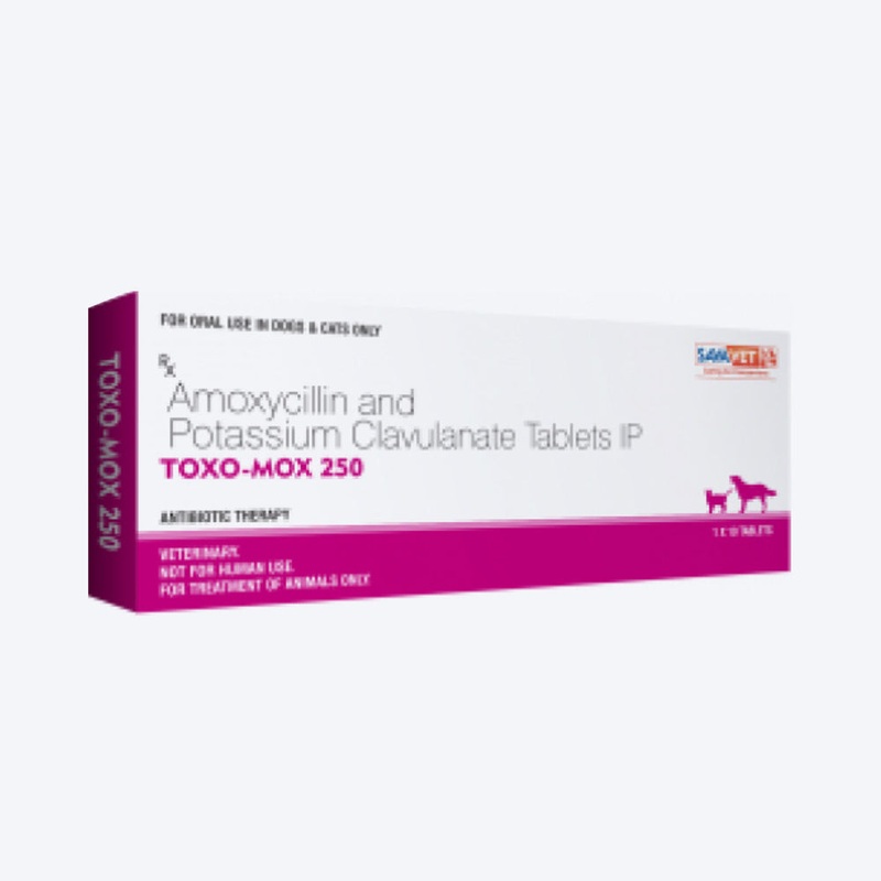 Savavet Toxomox Tablets Antibiotic For Dog & Cat – 10 Tablets