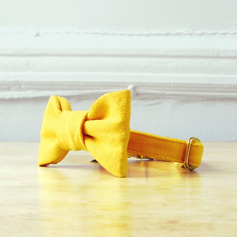 Sunny Bowtie Collar|X-Small|Small