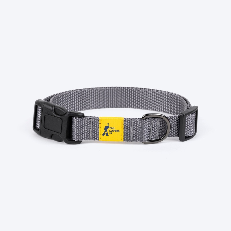 TLC Collar For Dog – Grey|XS|S|M|L