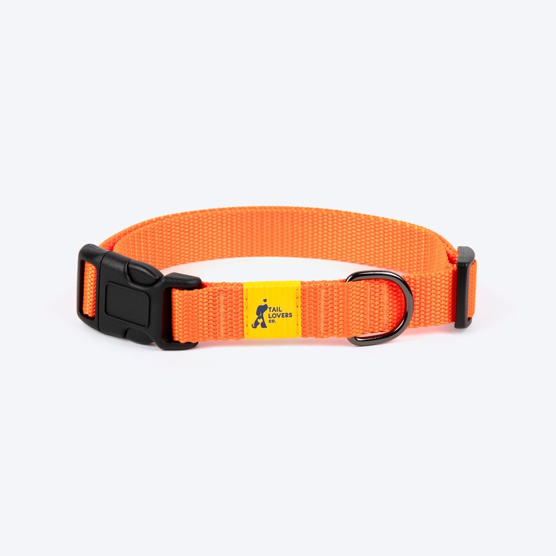 TLC Collar For Dog – Orange|XS|S|M|L