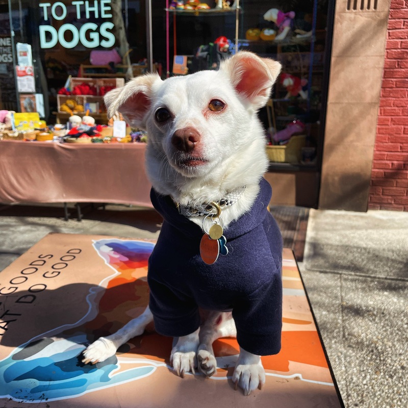 Wyatt Hoodie Sweatshirt – Navy