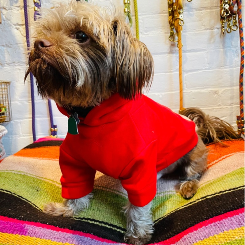 Wyatt Hoodie Sweatshirt – Red|Red|10|12|14|16|18|22|26