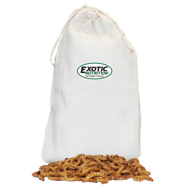 Large Live Mealworms (3/4)|500 Pack|1,000 Pack|2,000 Pack|3,000 Pack|4,000 Pack|5,000 Pack|10,000 Pack|20,000 Pack