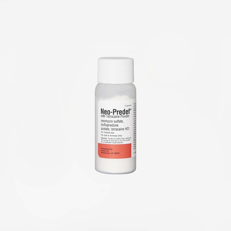 Neo-Predef Powder (Rx)|15 gm