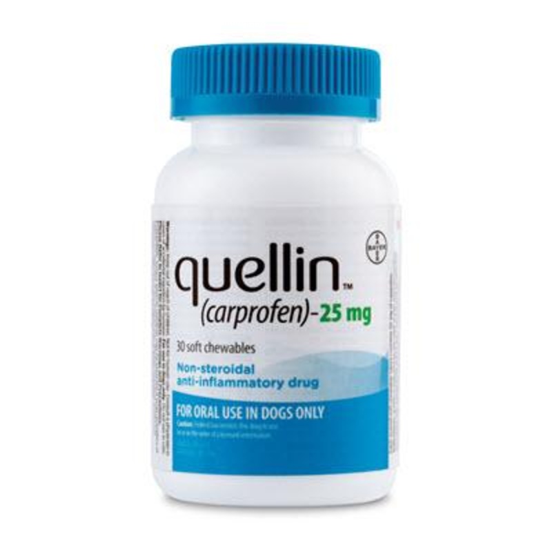 quellin (carprofen) soft chewable tablets (Rx)