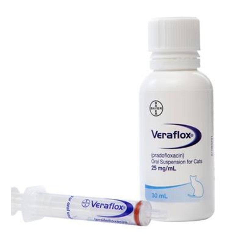 Veraflox Oral Suspension for Cats (Rx)