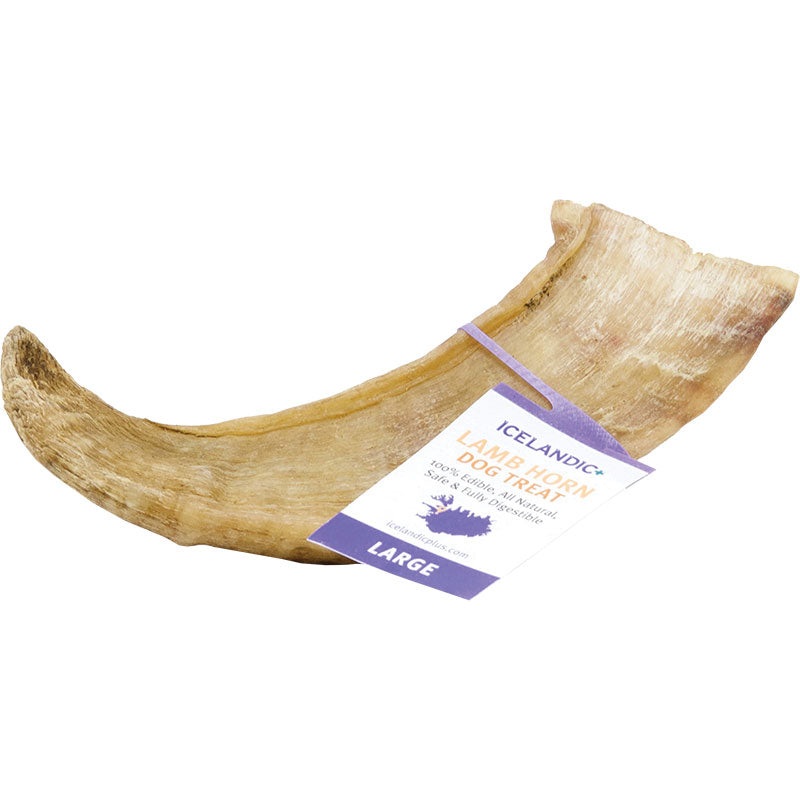 Icelandic+ Large Lamb Horn Dog Treat