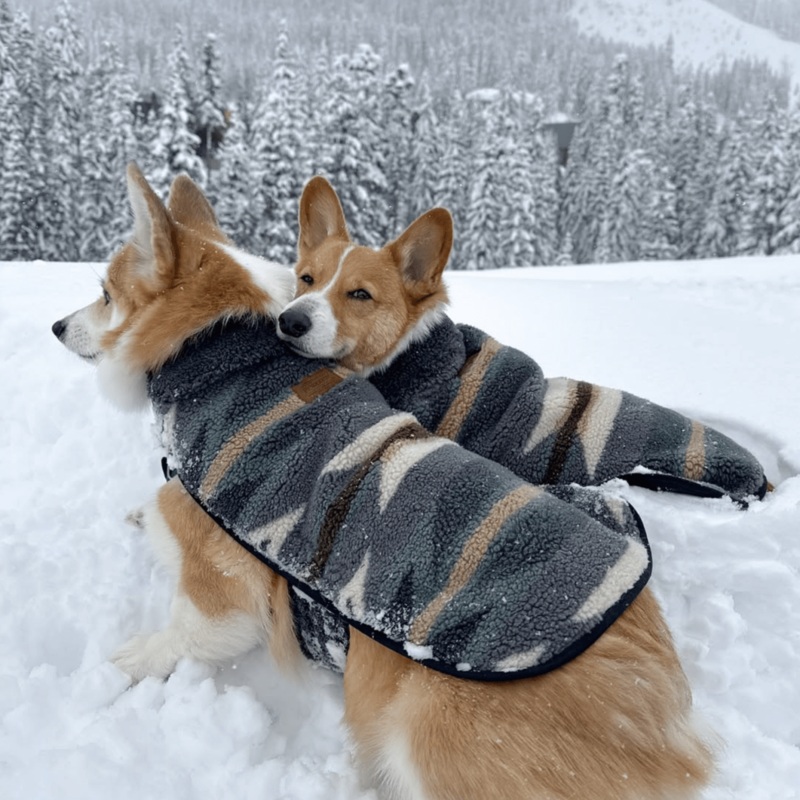Pendleton Berber Dog Coat|Wyeth Trail Oxford|Harding Rosewood|Wyeth Trail Wheat|Serape Rosewood|X-Small|Small|Medium|Large|X-Large|XX-Large