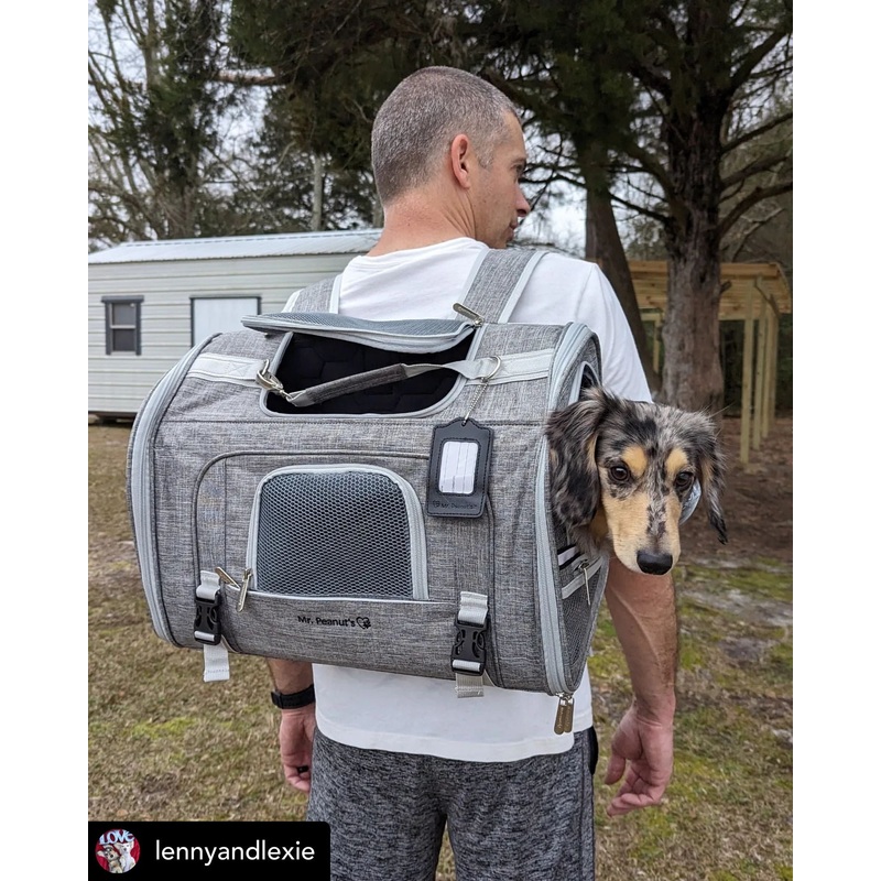 Mr. Peanut’s Monterey Series Backpack Pet Carrier – Newly Updated Model Now Available