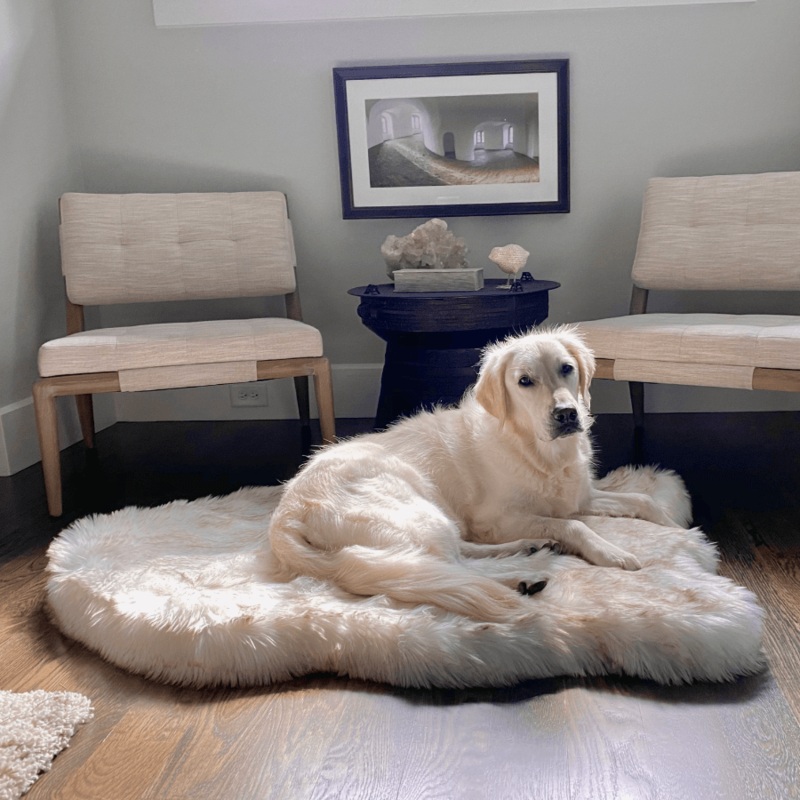 PupRug Faux Fur Orthopedic Dog Bed – Curve White with Brown Accents