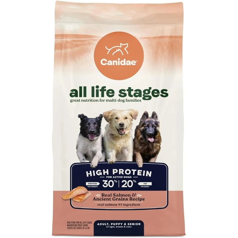 CANIDAE All Life Stages Real Salmon & Ancient Grains Dry Dog Food