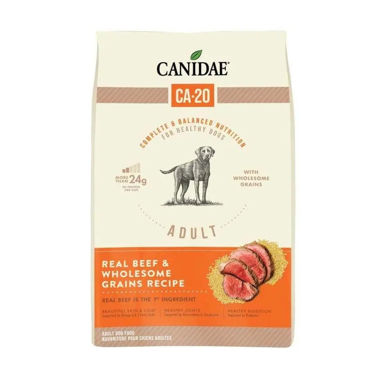 CANIDAE CA-20 Real Beef Recipe with Wholesome Grains Dry Dog Food
