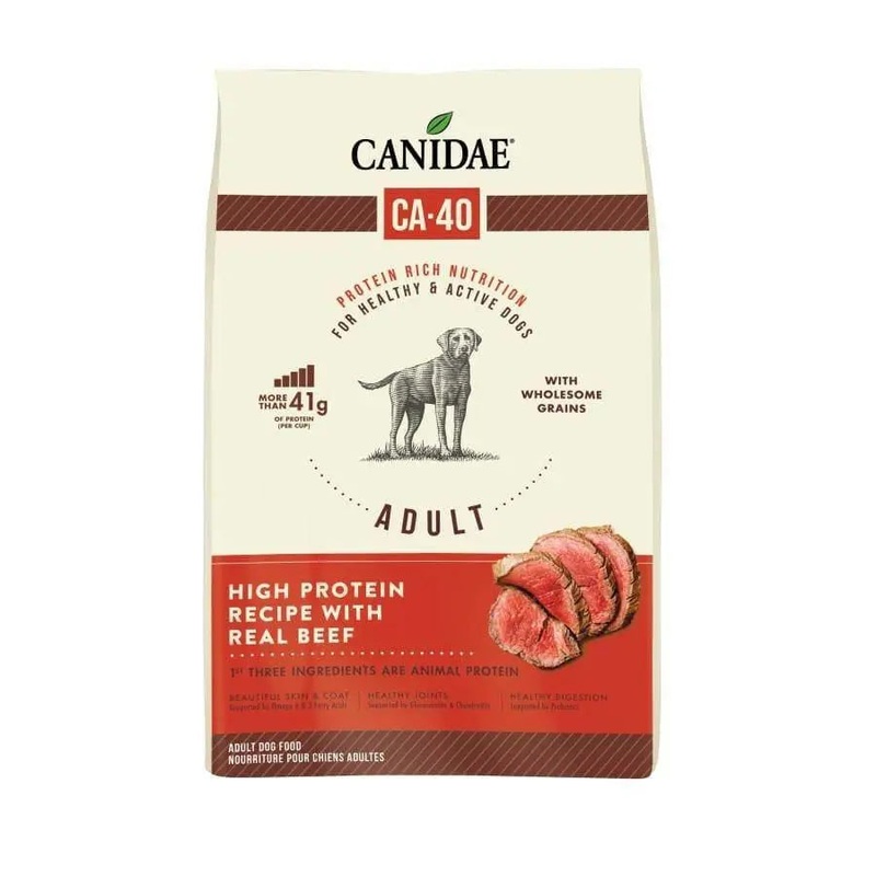 CANIDAE CA-40 High Protein with Real Beef Recipe Dry Dog Food