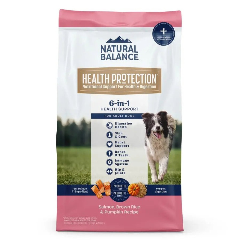 Natural Balance Health Protection Adult Salmon, Brown Rice & Pumpkin Dry Dog Food
