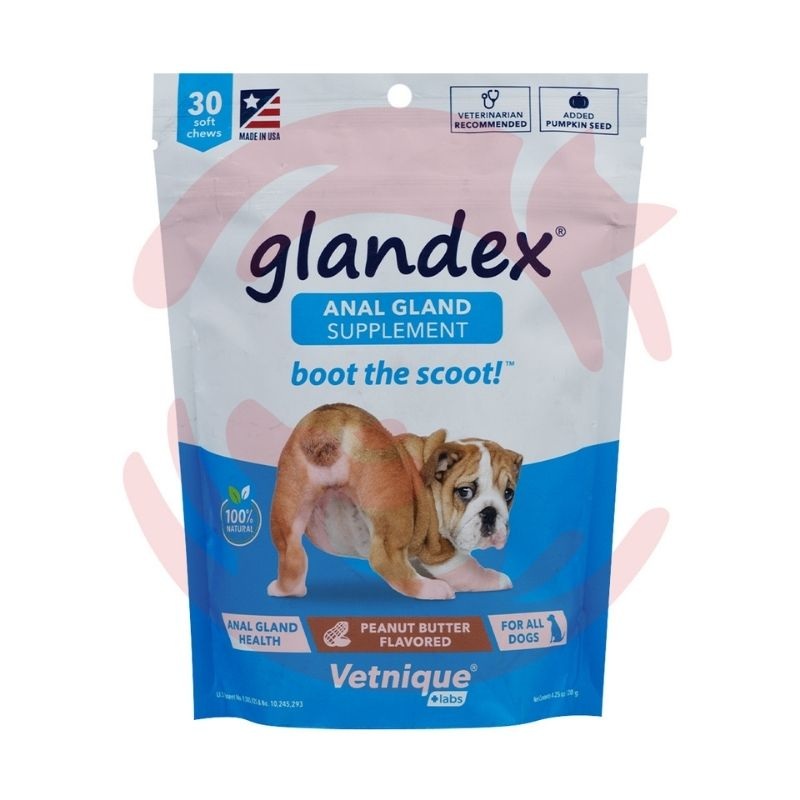 Glandex Anal Gland Supplement for Dogs – Peanut Butter (30 Chews)