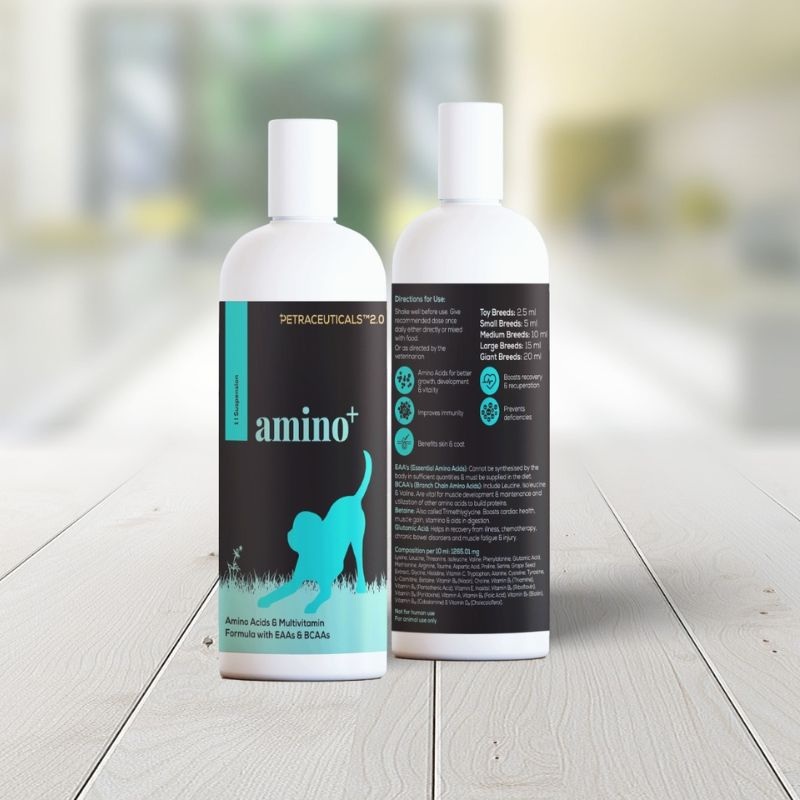 Venttura Supplements for Cats & Dogs – Amino Plus Syrup (250ml)