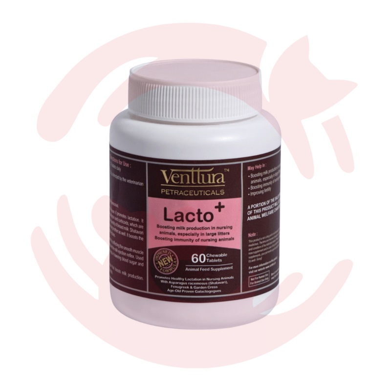 Venttura Supplements for Cats & Dogs – LactoPlus (60 Tabs)