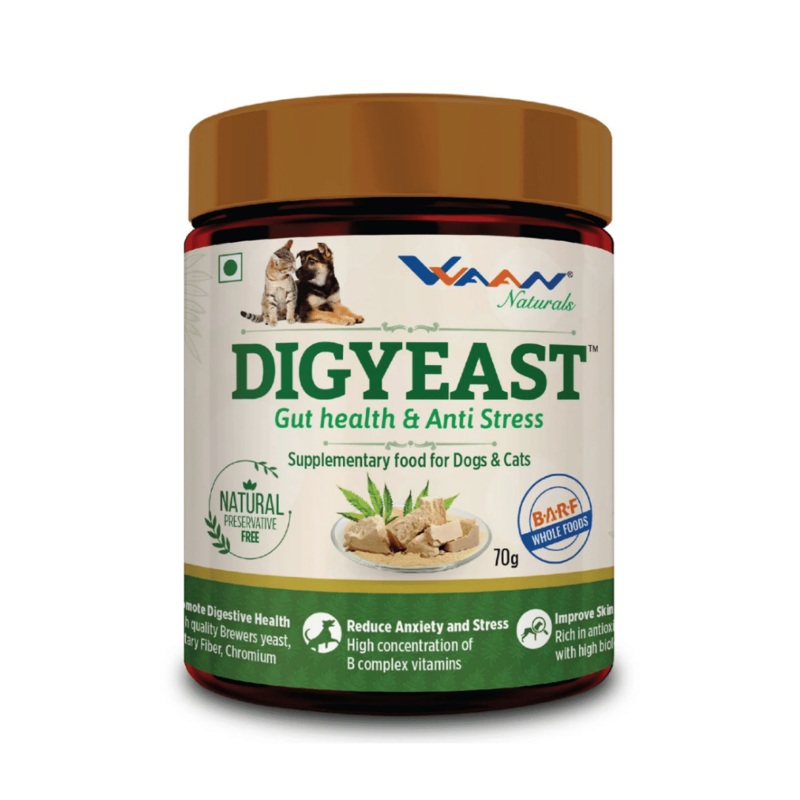 Vvaan Supplements for Cats & Dogs – Digyeast for Gut Health (70g)