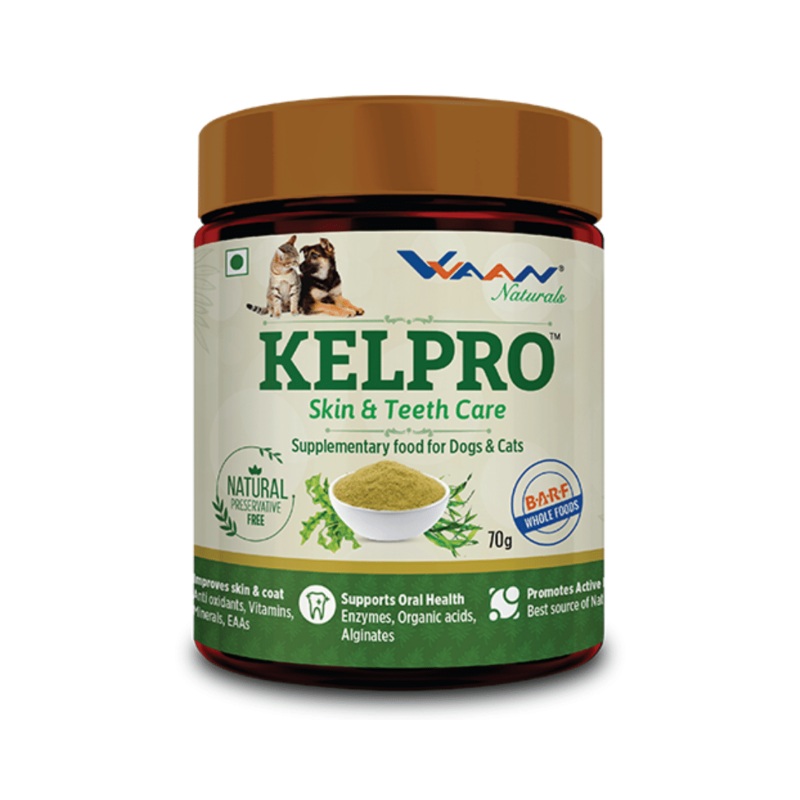 Vvaan Supplements for Cats & Dogs – Kelpro Skin & Teeth Care (70g)