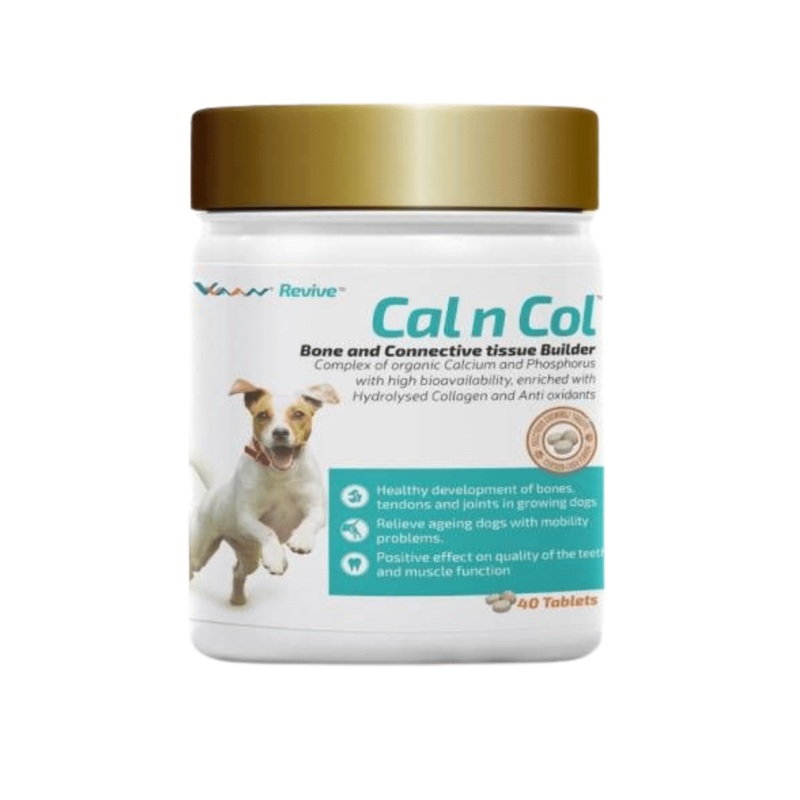 Vvaan Supplements for Dogs – Cal and Col – Calcium and Collagen Tablets (40 tabs)