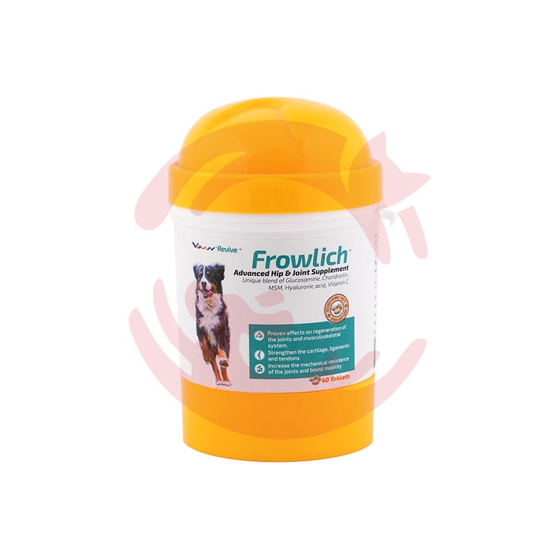 Vvaan Supplements for Dogs – Frowlich Advanced Hip and Joint Supplement (40 tabs)