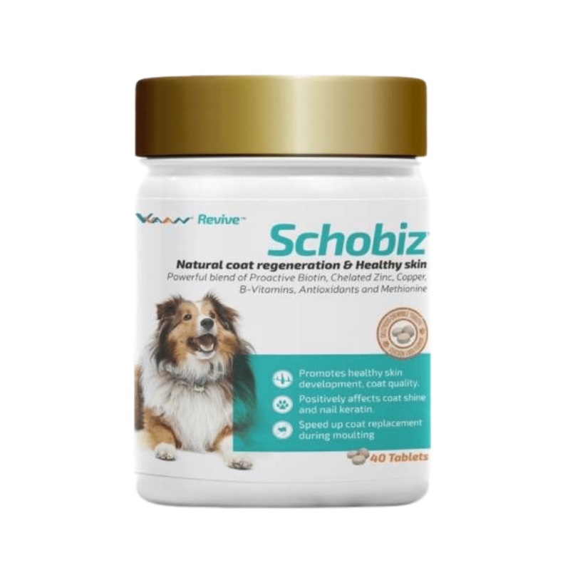 Vvaan Supplements for Dogs – Schobiz Biotin Supplement (40 tabs)