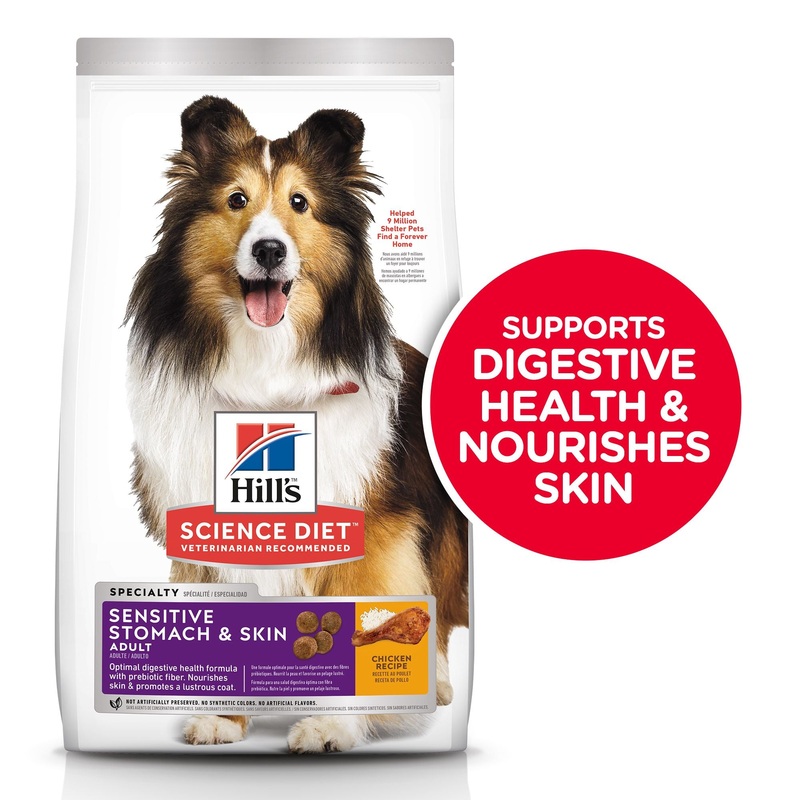 Hill’s Science Diet Adult Sensitive Stomach & Skin Dry Dog Food, Chicken Recipe